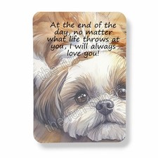Shih tzu dog d'occasion  Expédié en Belgium