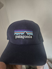 Patagonia logo cap for sale  WALLINGFORD