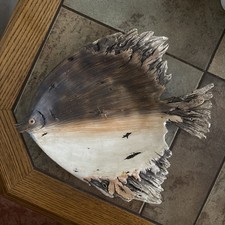 Dekoschale fisch x30 gebraucht kaufen  Warin