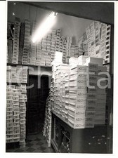 1957 mazara del usato  Milano