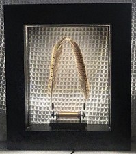 Máquina Maravilha Dança Lenta Câmera Lenta Teoria de Efeito de Quadro Vivo comprar usado  Enviando para Brazil