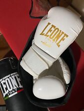 Guanti boxe leone usato  Villavallelonga