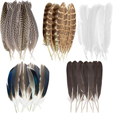 Stück perlhuhnfedern zum gebraucht kaufen Stück perlhuhnfedern zum gebraucht kaufen  Neuss