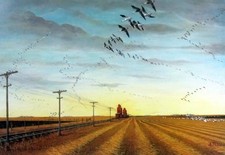 Headin stubble les for sale  Annandale