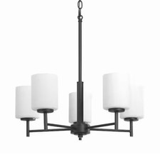 Progress lighting p4319 for sale  Northridge