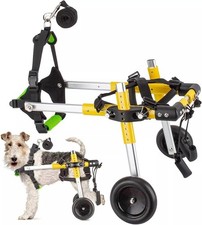 Anmas box dog for sale Anmas box dog for sale  HOUNSLOW