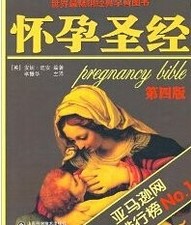 Pregnancy bible di for sale  ROSSENDALE