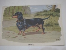 Gravure chien teckel d'occasion  Melun