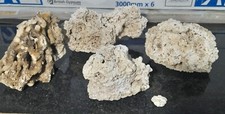 Coral aquarium rock for sale  SWADLINCOTE