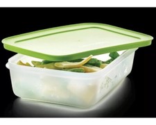 Tupperware contenitore freezer usato  Chiaramonte Gulfi