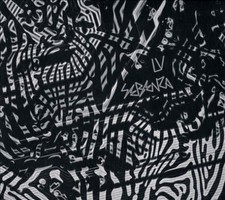 Sebenza vinyl d'occasion  Expédié en France