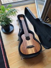 islander trense gebraucht kaufen islander trense gebraucht kaufen Tübingen