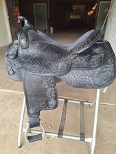 15.5 dale chavez for sale  Gaylord