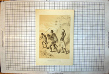 Old print african for sale  UK