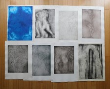 Riginale lithografien franzisk gebraucht kaufen  Berlin