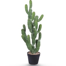 artificial cactus for sale artificial cactus for sale Ashford