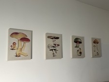 ikea canvas for sale  Medford