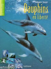 Dauphins liberté gérard d'occasion  Les Arcs