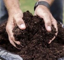 House plant compost for sale  LONDON