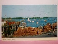 Maine lobsters traps for sale  Buchanan Dam