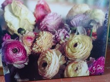 Quadro olio tela usato  Torre del Greco