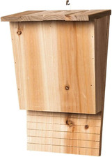 Pipistrello legno per usato  Roma