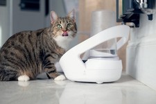 Sure petcare felaqua d'occasion  Villepreux