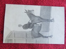 Militare carabinieri reali usato  Italia