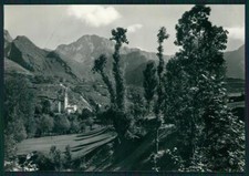 Cuneo entracque valle usato Cuneo entracque valle usato  Gambolo