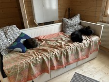 Ikea bett hemnes gebraucht kaufen  Dommershausen, Lieg, Macken