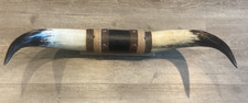 mounted horns steer for sale mounted horns steer for sale Huntington Beach