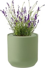 Lavender hydroponic self for sale  Sacramento