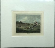 Original antique matted for sale  LYNTON