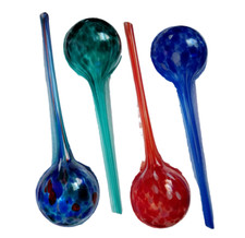 Globes aqua plant for sale  Naples