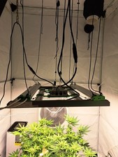 Mars hydro e3000 gebraucht kaufen  Kleinostheim