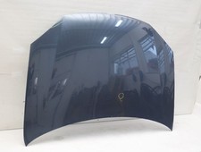 Motorhaube golf blau gebraucht kaufen  Wittenburg