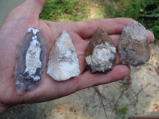 Nice coral blade for sale  Tallahassee