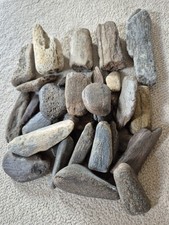 Unresearched fossil bone for sale  NORWICH