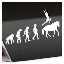 Evolution dressurreiten aufkle gebraucht kaufen  Leipzig
