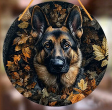 Alsatian large german for sale  UK