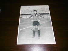 Cartolina fotografica gigante usato  Rancio Valcuvia