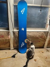 Ride teacup snowboard for sale  Oconomowoc