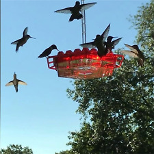 Hummingbird feeders outdoors for sale  Ontario