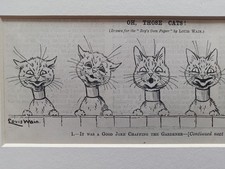 Cats cats louis for sale  BEXHILL-ON-SEA