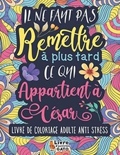 Livre coloriage adulte d'occasion  France