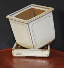 Bonsai ceramic pot for sale Bonsai ceramic pot for sale  ELY