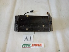 Radiatore acqua completo usato  Roma