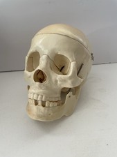 Vintage anatomical human for sale  Jacksonville