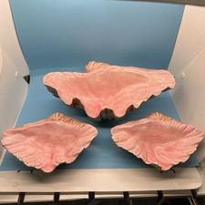 Set beautiful clam for sale  Pasadena