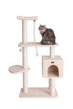 A5708 pet cat for sale  Brentwood